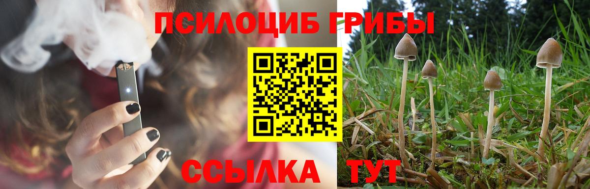 Галлюциногенные грибы MAGIC MUSHROOMS Северобайкальск